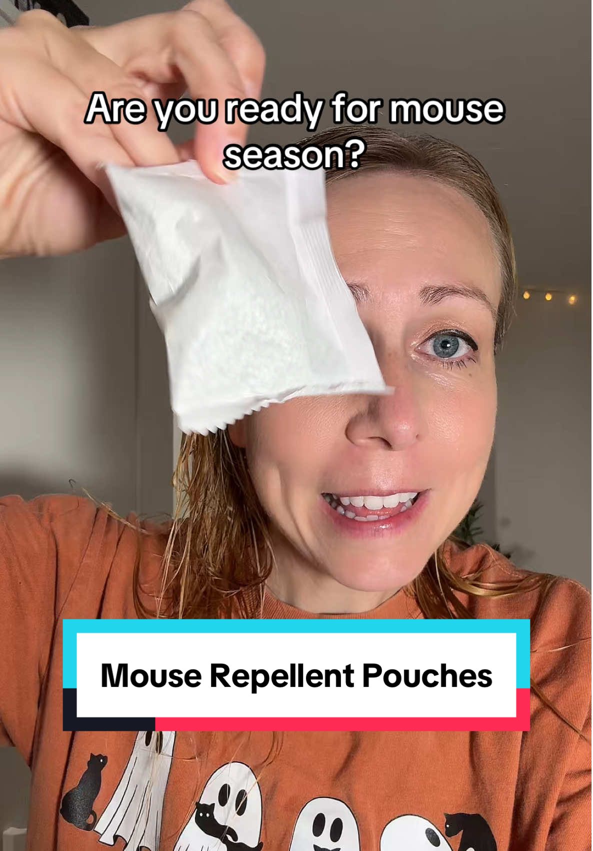 It’s almost mouse season. That’s why I got myself these mouse repellent pouches! #mouserepellent 