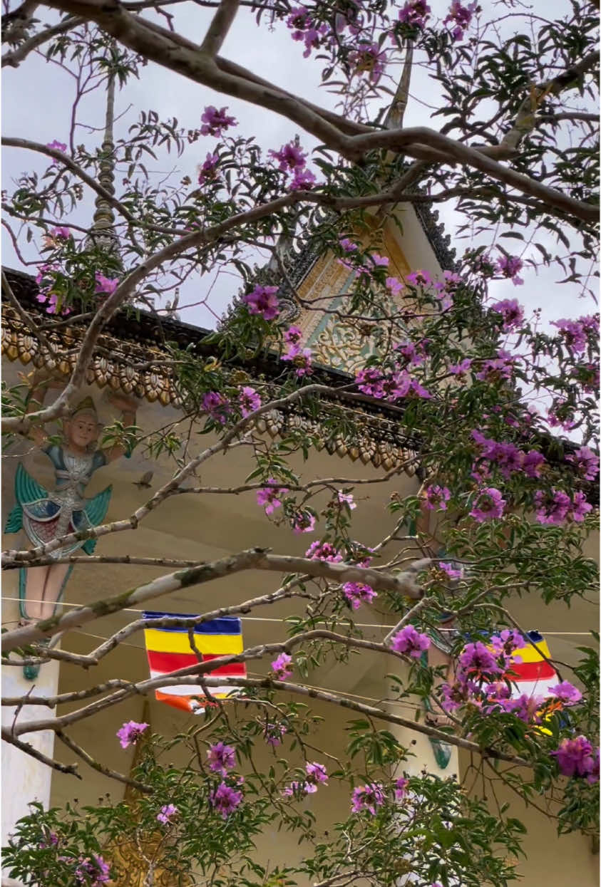 Hình tượng các linh vật văn hóa Khmer rất đặc sắc thể hiện sự giao thoa hòa hợp các tín ngưỡng,đóng vai trò bảo vệ các công trình kiến trúc tôn giáo và mang lại may mắn bình an cho cộng đồng.Giúp giáo dục đạo đức,nhắc nhở mọi người hướng thiện. #khmer #vanhoa #travinh #phatgiaovadoisong #viral 