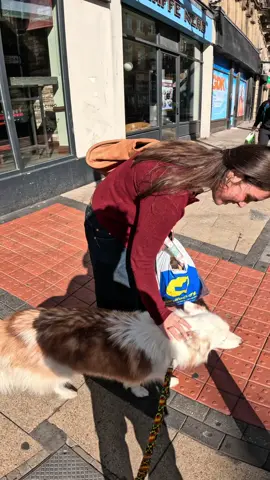 Interactions with my dog!!  #husky #viral #pets #fyp #famous 