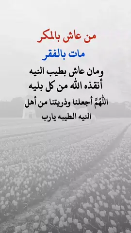 #عبارت دينيه #شبل#يمن#الشمال#عدن يجمال_اليمن ثقافة_يمنية تراث_يمني موسيقى_يمنية شباب_يمني ـــ فخر_يمني يمن_الحب تقاليد_يمنية