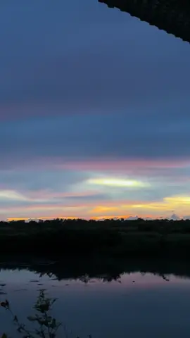 Toy kh biết mình đến nhân gian này để làm gì…#xuhuong 