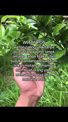 Pon emang bikin kangen☺️ #jowopride #jowostory #wetonjawa #wetonpon #masukberanda 