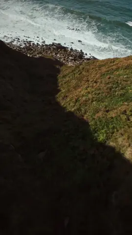 Diving with the Pavo20 Pro 🌊 #drone #dronevideo #nature #landscape #djio4pro 