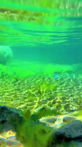 Peace 🙂‍↕️ . . . #peace #fyp #viral #skardu #capcut 