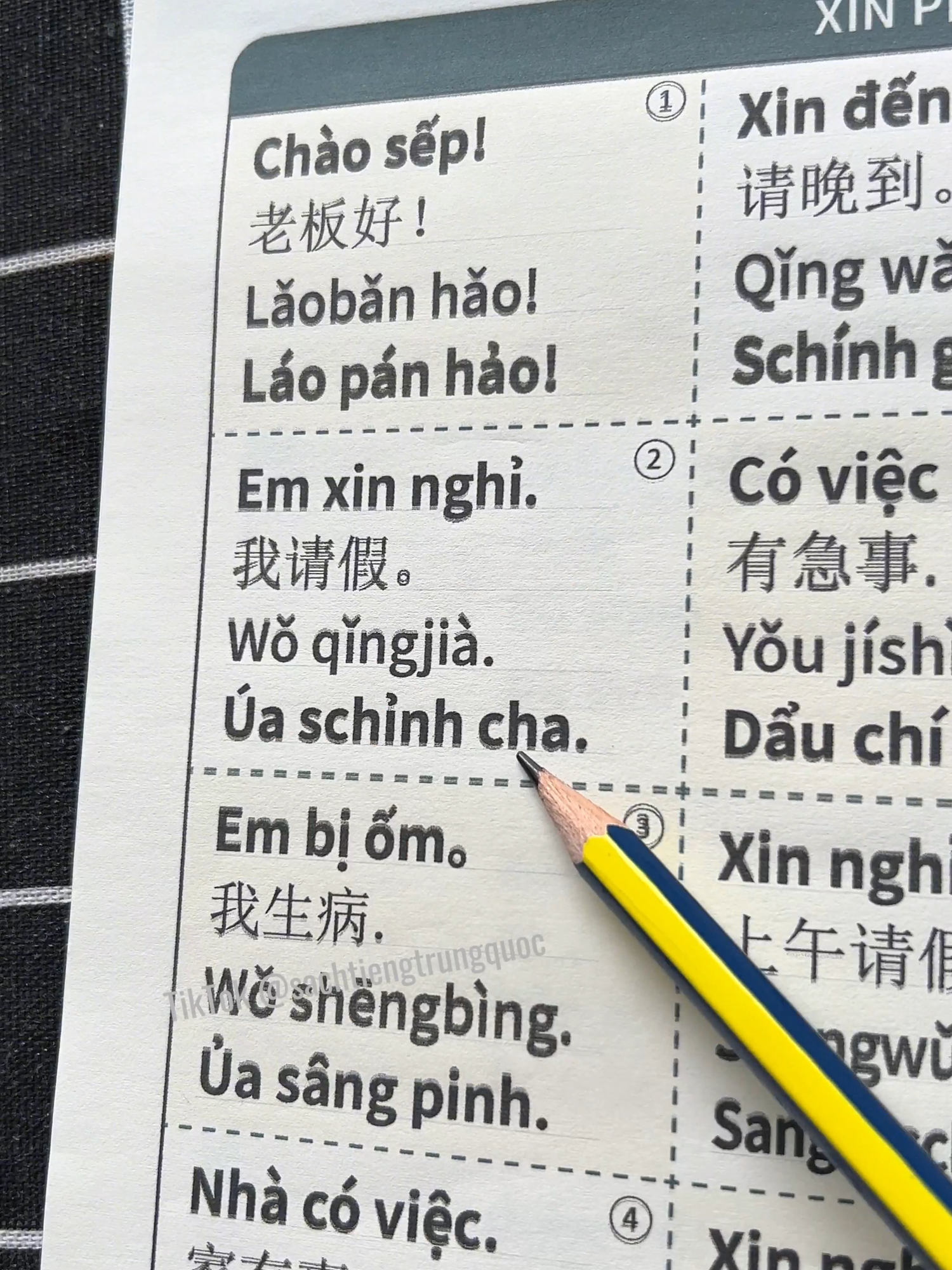 Có một ngày bạn sẽ nói được tiếng Trung. Nói câu đầu tiên với người mình thích. Nói câu đầu tiên khi đi du lịch. Nói câu đầu tiên khi cần giúp đỡ ai đó. Và tất cả… bắt đầu từ những từ đầu tiên. Không cần học nhiều, chỉ cần học đúng từ, đúng chủ đề, đúng cảm xúc. 3000 từ – chia nhỏ theo tình huống giao tiếp – là hành trình nhỏ để bạn dần tự tin, dần bật ra phản xạ. Từng chút một, bạn sẽ nói được. Và đó là cảm giác rất tuyệt. #hoctiengtrung #tiengtrung #tuhoctiengtrung #sachtiengtrung #tiengtrunggiaotiep