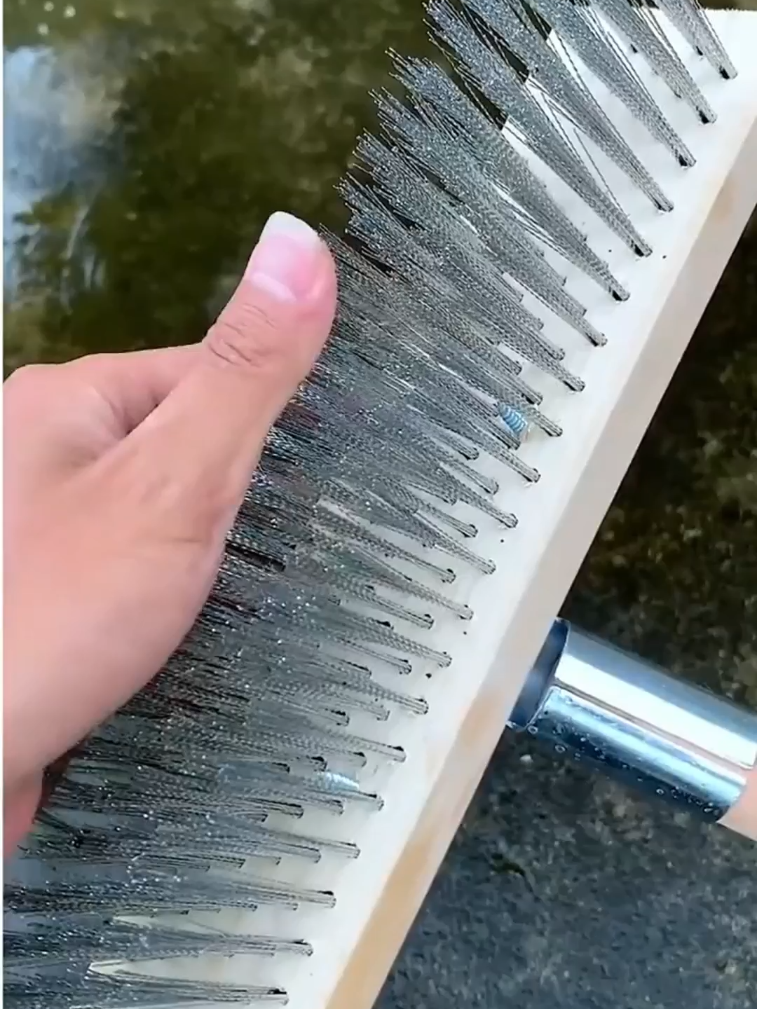 Chổi chà rêu giá rẻ – Dọn sạch rêu mốc trong tích tắc! #choichareu #DụngCụVệSinh