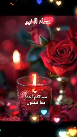 #مساء_الخير #مساكم_سعادة_لاتنتهي🌹🌺❤️❤️ 