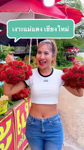 เงาะแม่แตง จังหวัดเชียงใหม่ #แม่แตง #เชียงใหม่ #ทริปไทยแลนด์ @ดาว ฟินเวอร์ 