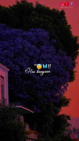 Dill se sun piya 🫀🫶🥀#new #trendingsong #hindisong #lyricsvideo #sandip____edit @🌙🕊️ 😘