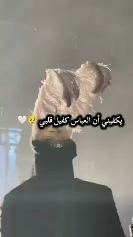 #تصميم_فيديوهات🎶🎤🎬 #السلام_عليك_يا_ابا_الفضل_العباس_ع #ياابا_الفضل_العباس #يااباالفضل_العباس✨❤️🕊  #كلماتي🥀🕊____🖤 