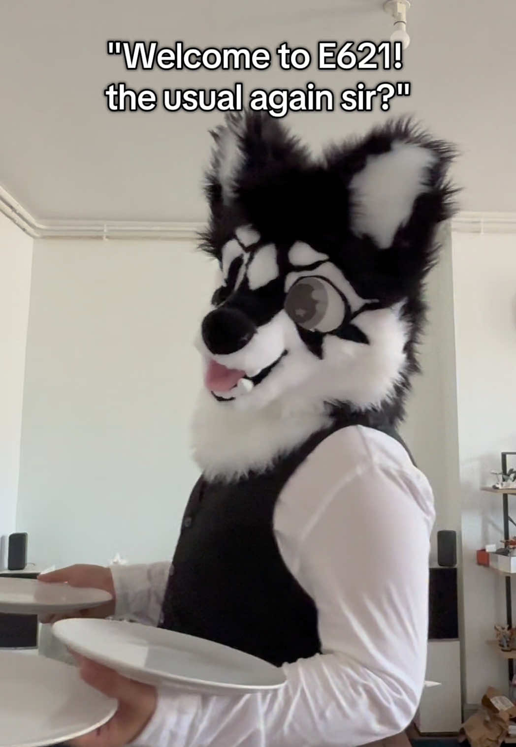 what will it be today sir  #furry #furrycommunity #fursuit 