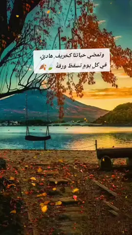 لوفينا نهرب ونطير 🍃🍂#مجرد________ذووووووق🎶🎵💞 #فيروز_لوفينا_نهرب_ونطير #مجرد_ذووقツ🖤🎼 