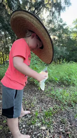 Chaos gardening with Florida friends! You gotta follow @Omgitswicks for the best Florida content he is hilarious! My nephew loves him too and loves planting beans! These blackeyed peas did great and he planted some birdseed sunflowers too! 