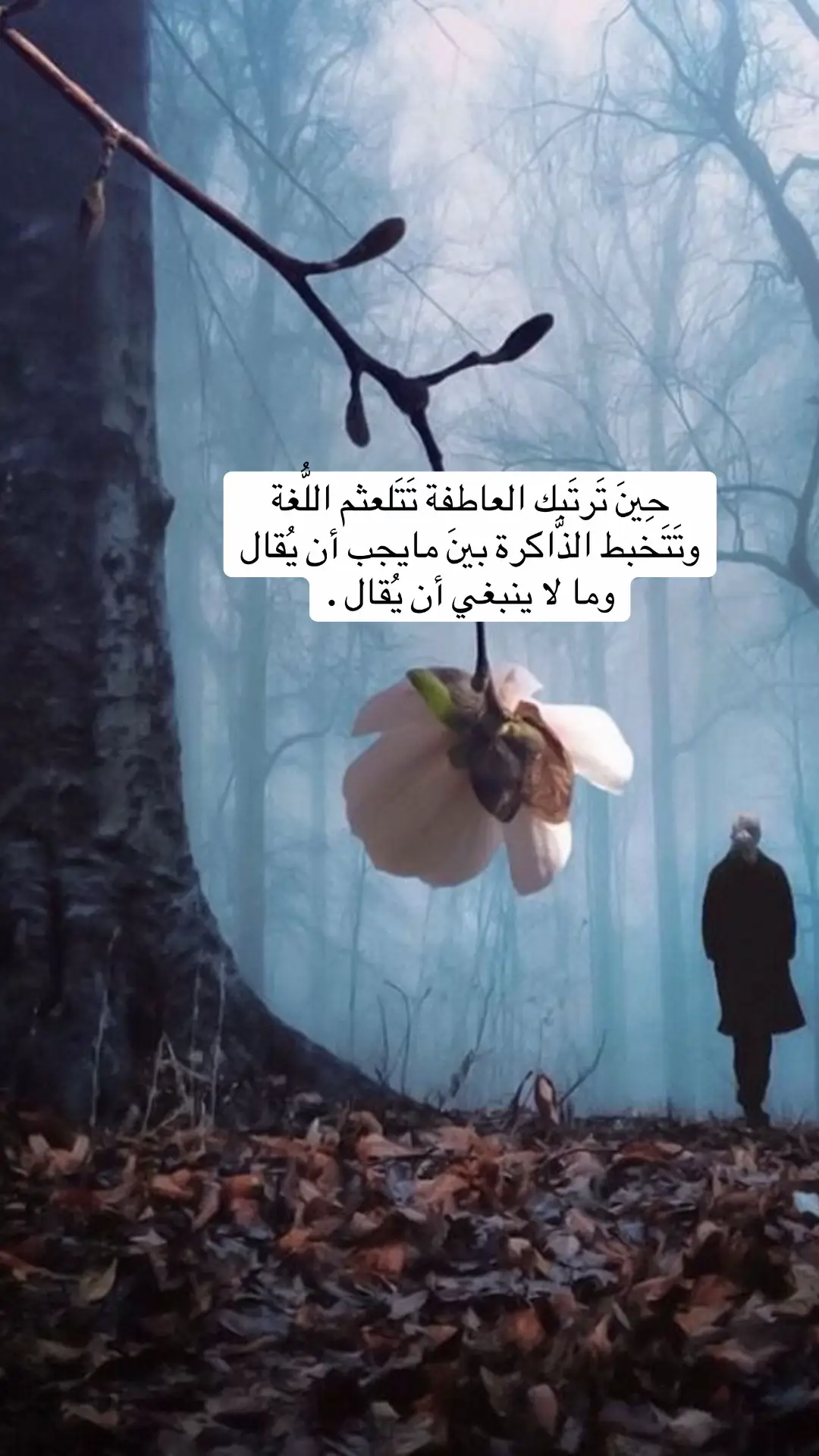 #سيسرا #سكاكا #عرعر #القاهرة #اكسبلورexplore 