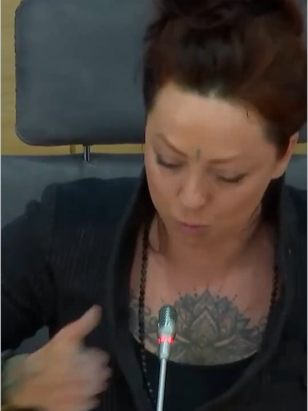 Nufilmuotame vaizdo įraše matome moterį, buvusi kandidatė į parlamentą Irma Gajauskaitė, aistringai kalbančią prie tribūnos. Ji energingai gestikuliuoja rankomis, o jos veido išraiška rodo, kad ji yra įsijautusi ir pasinerusi į rimtą diskusiją, o ne pasakoja humoristinę istoriją.