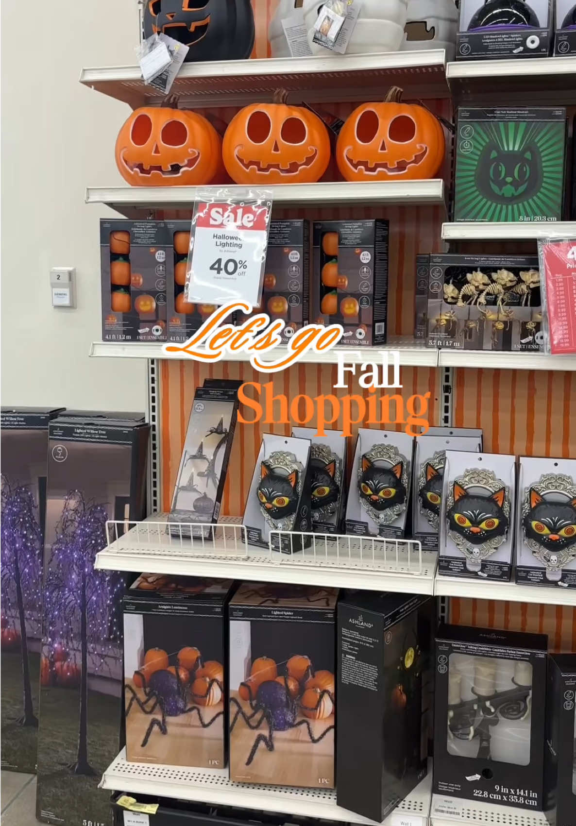 Get in we’re going fall shopping 🍂🛍️ I stopped by @Ross Dress for Less @Michaels Stores @Five Below      #spendthedaywithme #falldecor #fallshopping #minivlog #fyp 