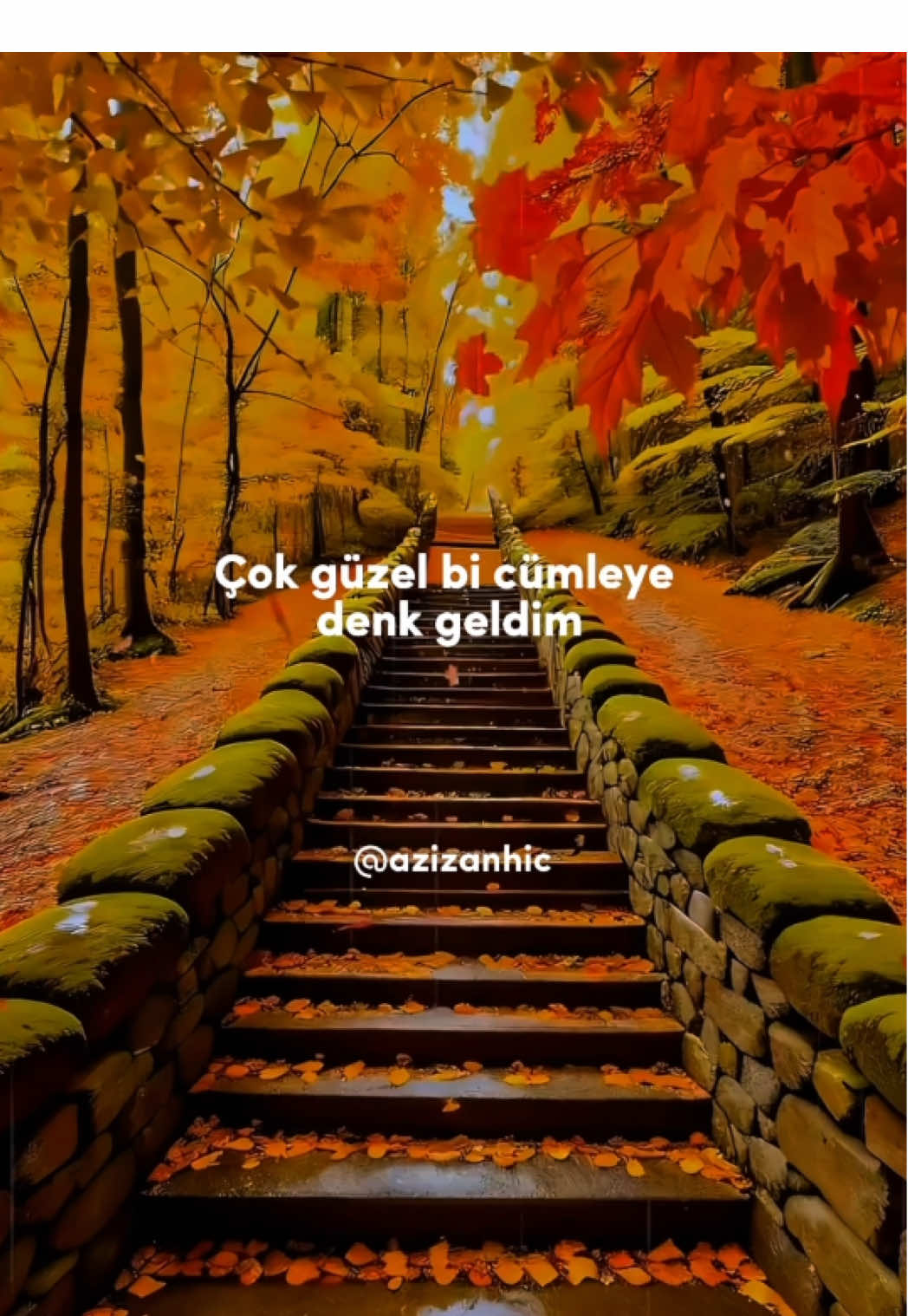 Çok Güzel bir Cümleye Denk Geldim