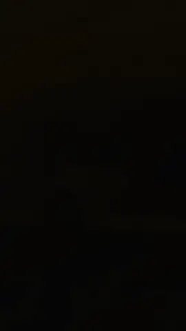 #wanglin #donghua #renegadeimmortal #jj #fyp 