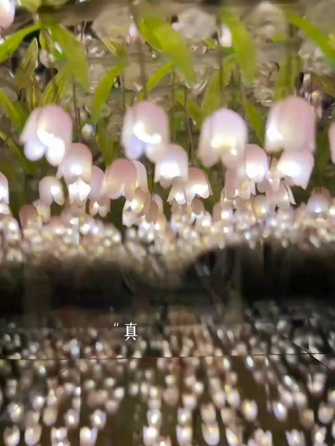 郁金香花海 花再好看，可惜她看不到 #小夜灯氛围灯 #手工diy #郁金香