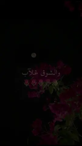 والشوق غلاب🌷 #بدون_موسيقى 