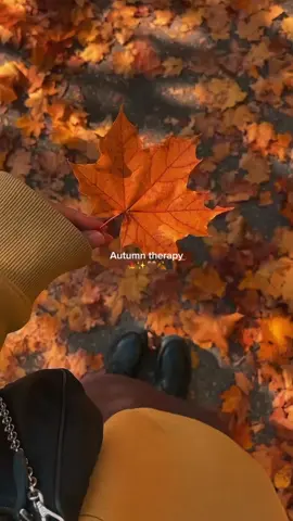 Autumn therapy🍂🤎☕️#CapCut #autumn #autumnvibes #autumntherapy #autumn2025