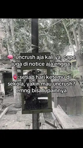 #fyppppppppppppppppppppppp #gaksukaskip📵 #masukberandafyp #foryoupage #katakatastorywa_ 