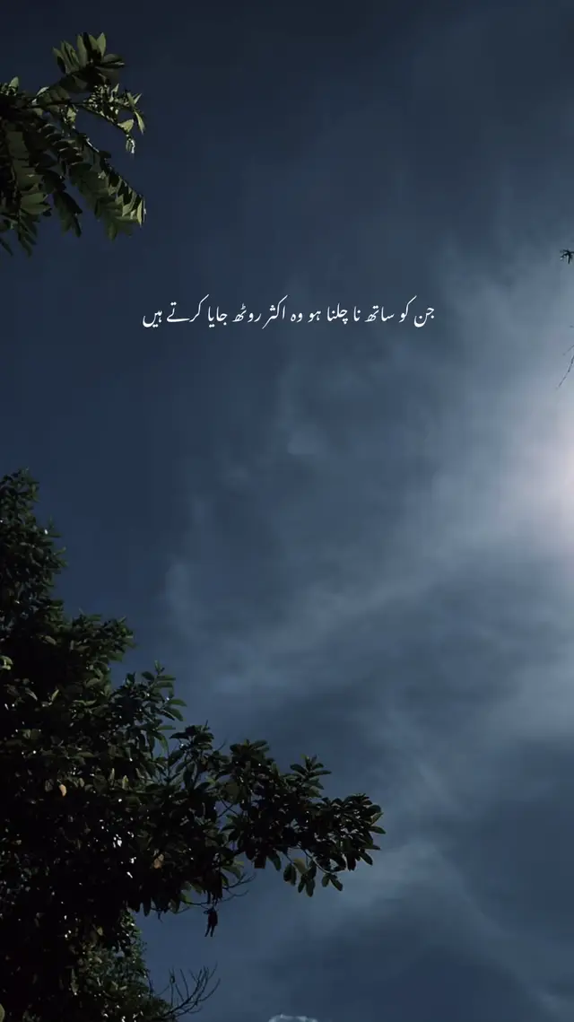 #explore #viral #fyp 