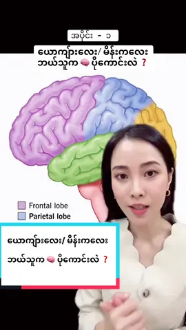 ယောကျ်ားလေး/ မိန်းကလေး ဘယ်သူက 🧠 ပိုကောင်းလဲ ❓အပိုင်း - ၁ #DrLaurel #PANaesthetics #beauty #wellness #influencer #celebrity #doctor 