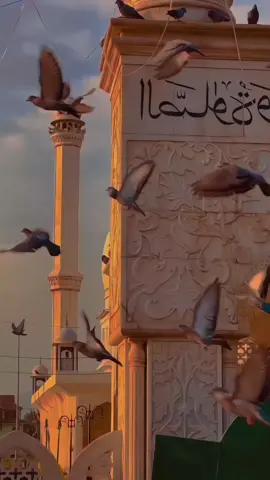 #fyp #foryoupage #viralvideo #trending #nasheed 