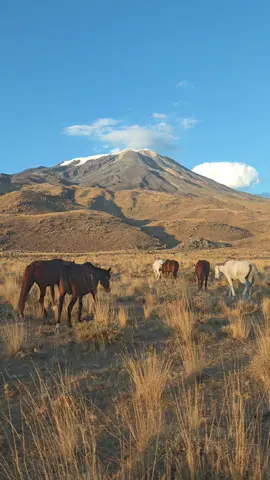 #ağrıdağı #ararat 
