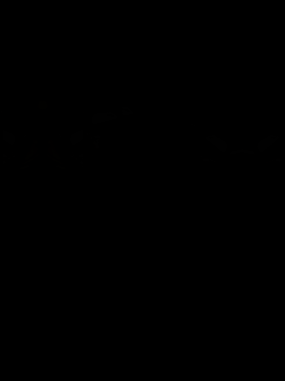 ہم گری ہوئی حرکتیں نہیں کرتے🔥🤬🥷🪲🚩 #fyp #foryoupage #viralvideos #groqmyaccount #attitude #lines #dogar_writes786 