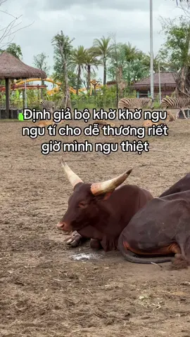 #VinWonders #GreenCreator #dulich #jhcefv9 #vinwondersvuyen 