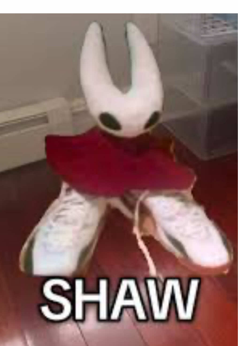 Hk just peak ik ik#hollowknight #radiance #hollowknighthornet #hollowknightsilksong #hollowknightmeme 