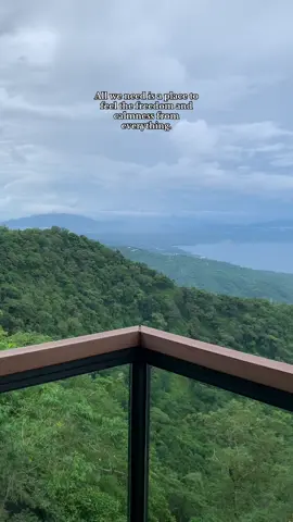 Nature bring us best caption of life 🍃  📍Starbucks Reserve Hiraya, Tagaytay #fypシ #fyp #tagaytay #hiraya #starbucks 