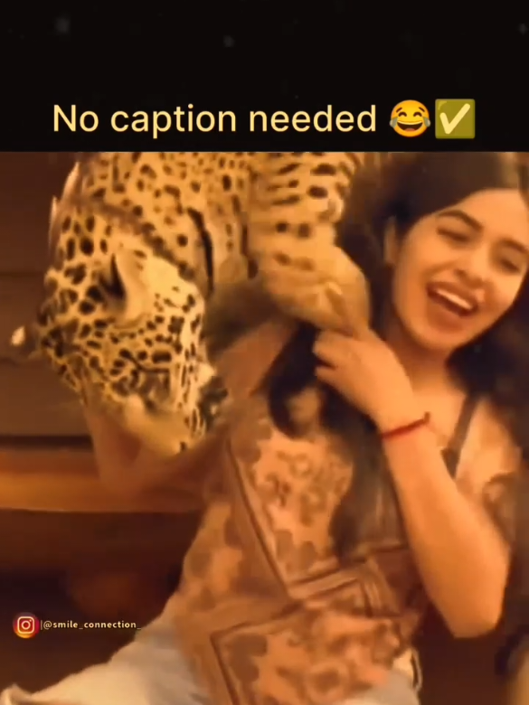 Today's Top Viral Moments #viral, #trending, #fyp, #today, #creatorsearchinsights 