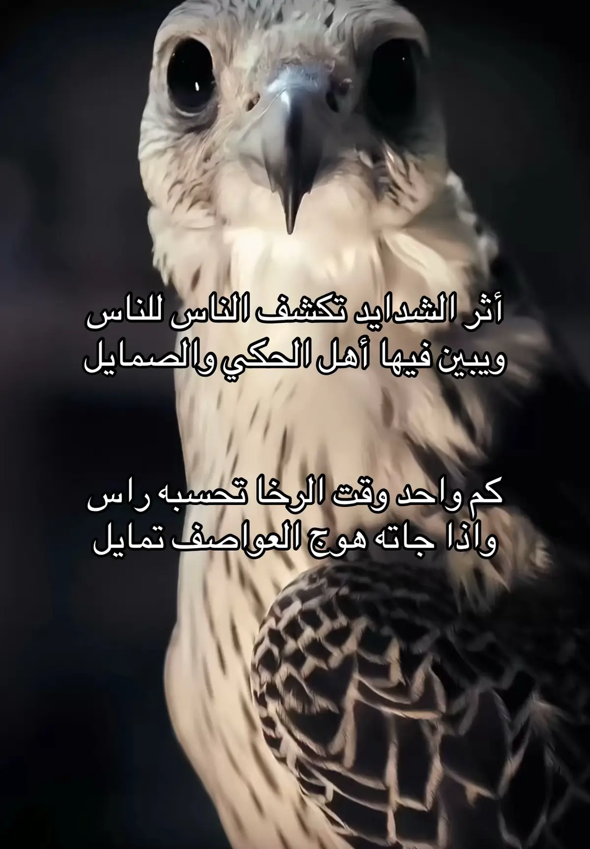 #fyp #اكسبلوررر #explore #fyyyyyyyyyyyyyyyy #الحربي 