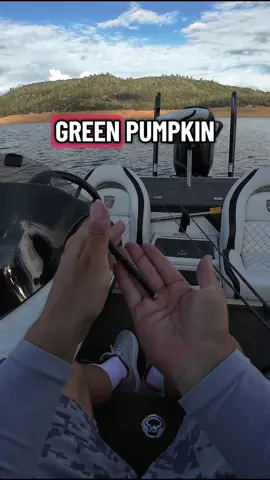 Testing the first viewer-suggested Neko Rig Worm 🪱 @Big Bite Baits Necorama 🎣 Solid fall bass at Lake Oroville! Want to see which bait comes out on top? Full video in bio! #BassFishing #NekoRig #BigBiteBaits #LakeOroville #FallBassFishing