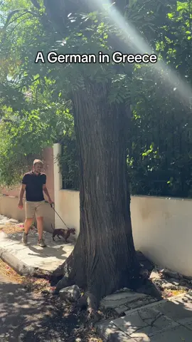 I honestly only noticed these things when I started dating a German 🤷🏼‍♀️ #greektiktok #greecetiktok #greekcomedy #funnygreek #germancomedy #funnytiktok 