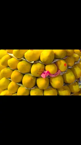 @ابو جودة الفكهاني 🍎👌🍇  يابخت اللي يصلي علي الحبيب#❤️ 