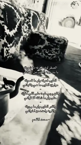 #محمد_المقحم #explore #qqqqqqqqqqqqqqqqqqqqqqqqqqqqqqqqqqqqqq 