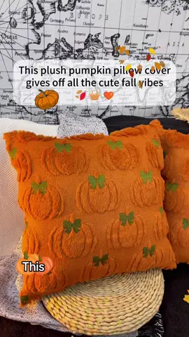 Love these pumpkin decor!!!🍁🍁🍁🍁🍂🍂🍂🍂🍂#falldecor #fallvibes #autumn #pumpkindecor #pillowcovers 
