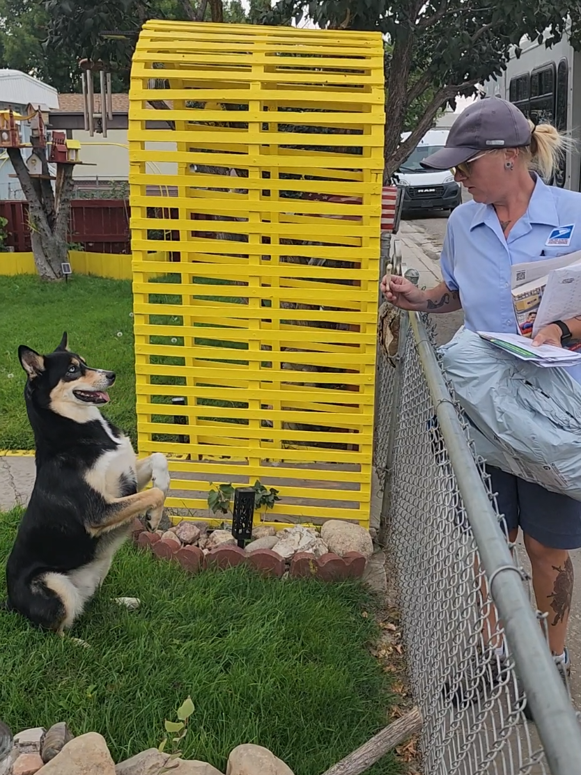 #mrpostman #puppylove #mailcarrier #Aoki 