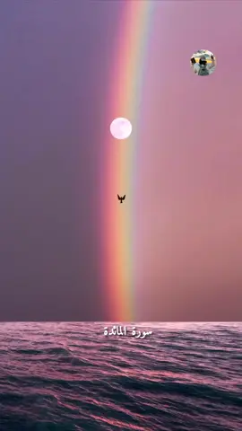 #قران_كريم #پښتو #ژباړه #pashto #translate 