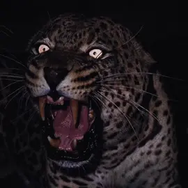 The eyes of nature #fyp #aura #animals #bigcats #tiger 