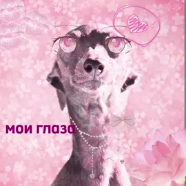 ПИШИТЕ ПЕСНИ🐶🐶🐶#песнидлядуши #рекомендации #твоиглаза 