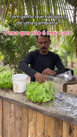 🤌🏼#horta #gambiarra #vidanaroça ##casalnaroça #roça 