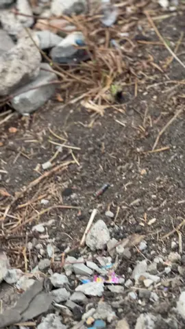 sritt 🤙🏻 #fyp #soundsystem #ragank #horegjatim 