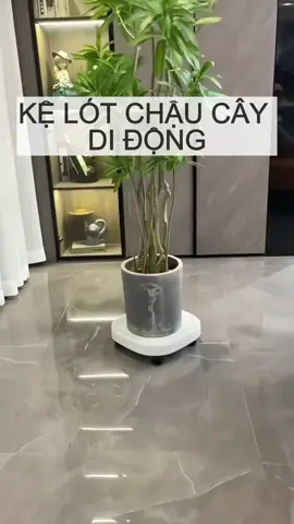 Kệ lót chậu cây có bánh xe và khay nước đi kèm, miễn phí ship, được thử hàng