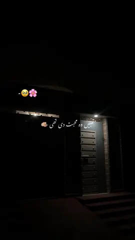 تمہیں وہ محبت دی تھی 🥹❤️‍🩹#aesthetic #poetry #poetrystatus #grow #account #foryoupage #1million #rehan_vibes4 