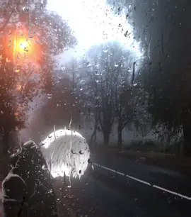 Guna7a Active Nabet” #lyrics #anime #edit #foryou #kurdistan 